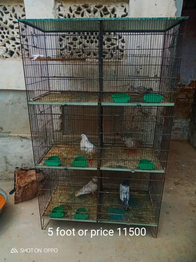 cage for sale