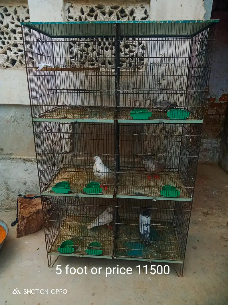 zero bite pair — photo 3