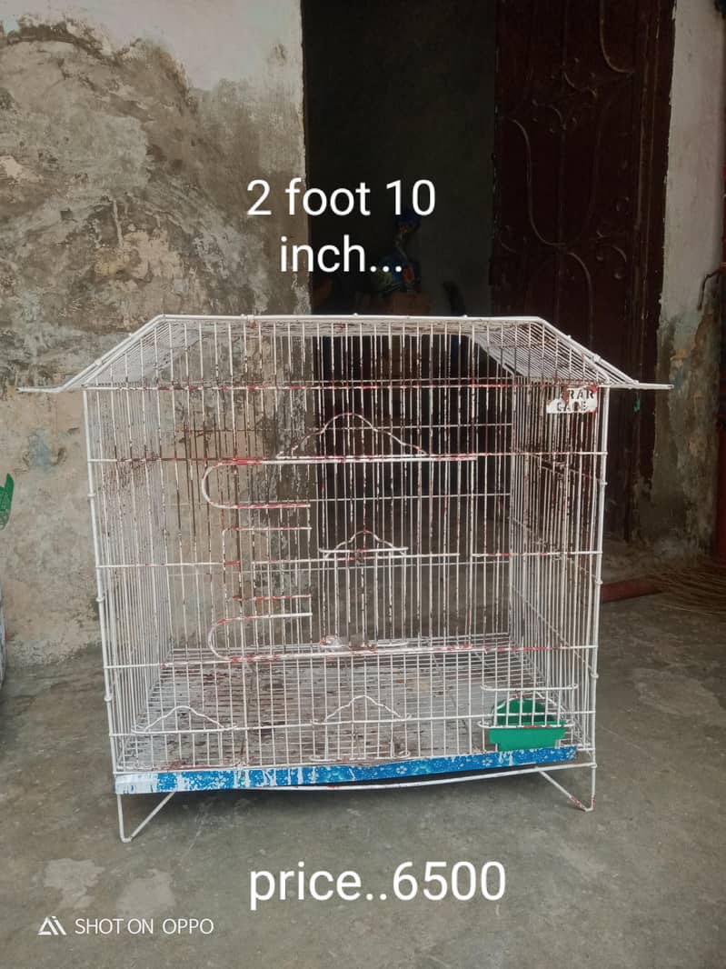 zero bite pair 4