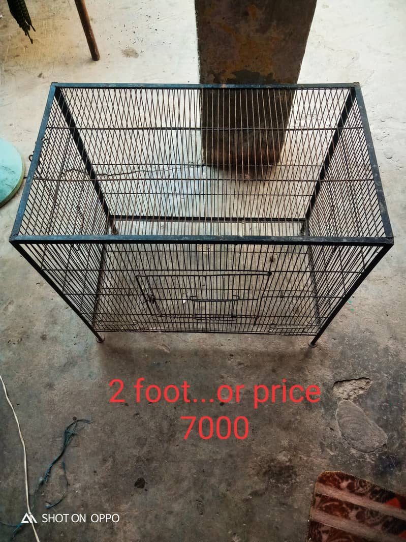 zero bite pair 8