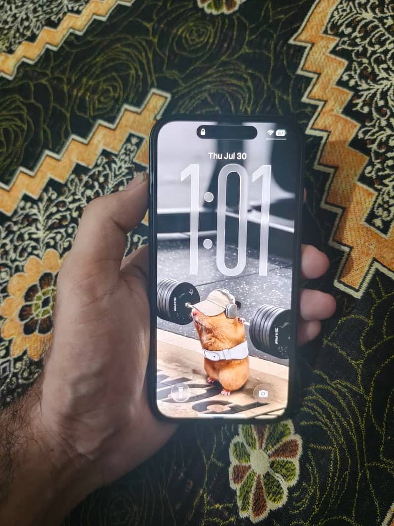 Apple iPhone 15 1