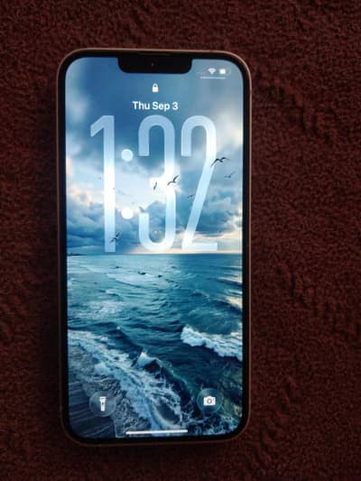 Apple iPhone 13