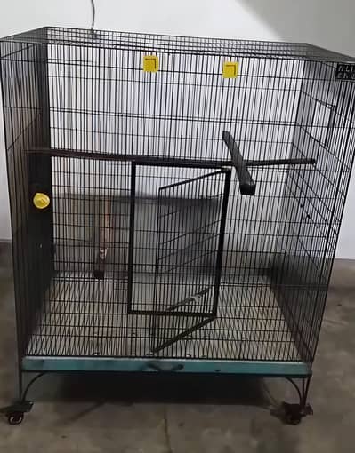 Parrot cage