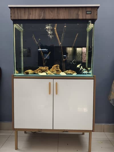 aquarium with bottom sump