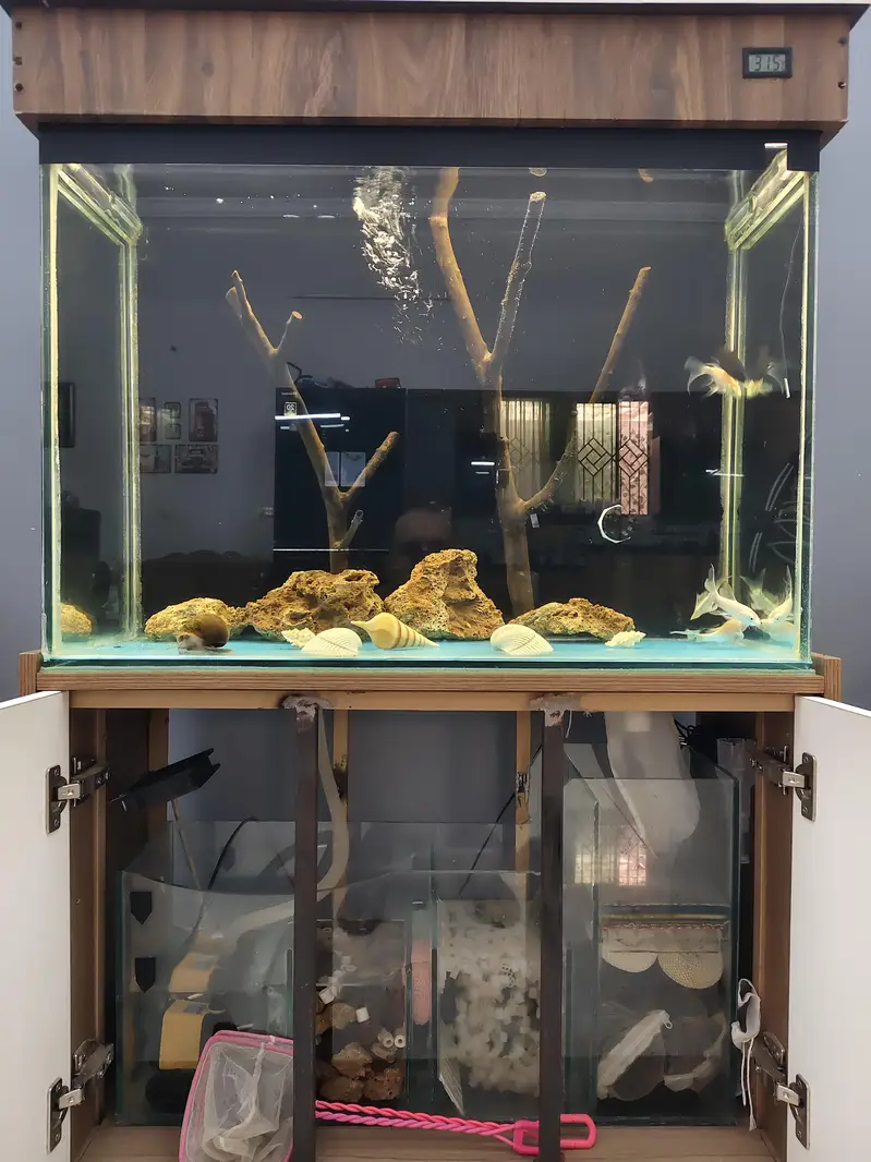 aquarium with bottom sump — photo 2