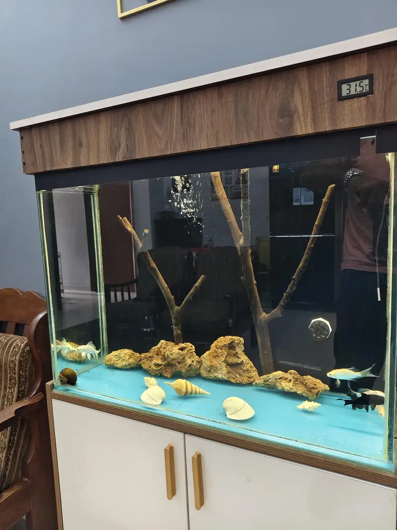aquarium with bottom sump — photo 3