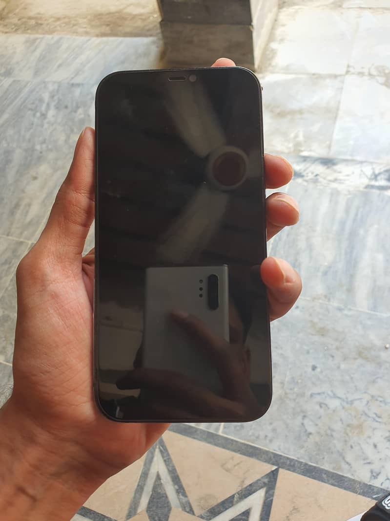 Apple iPhone 12 Pro Max 1