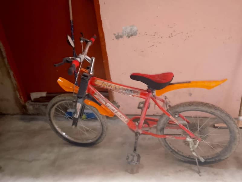 cycle 2