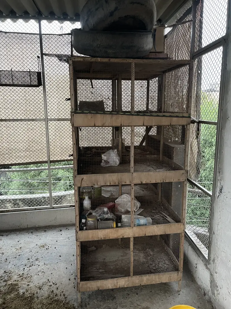 Birds cages — photo 2