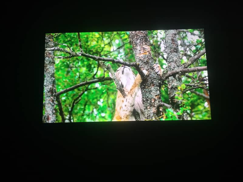 TCL LED 2