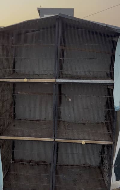 Cage pinjra