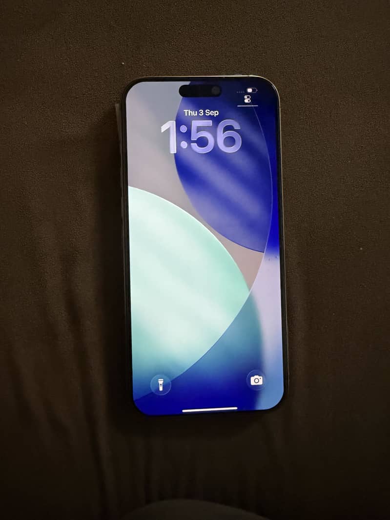 Apple iPhone 16 Pro Max 15