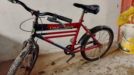 Cycle