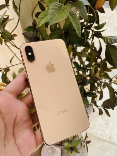 Apple iPhone XS