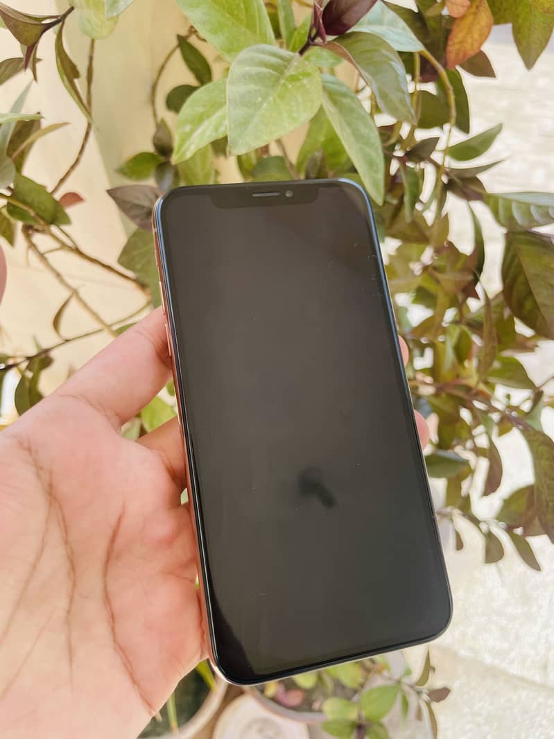 Apple iPhone XS 1