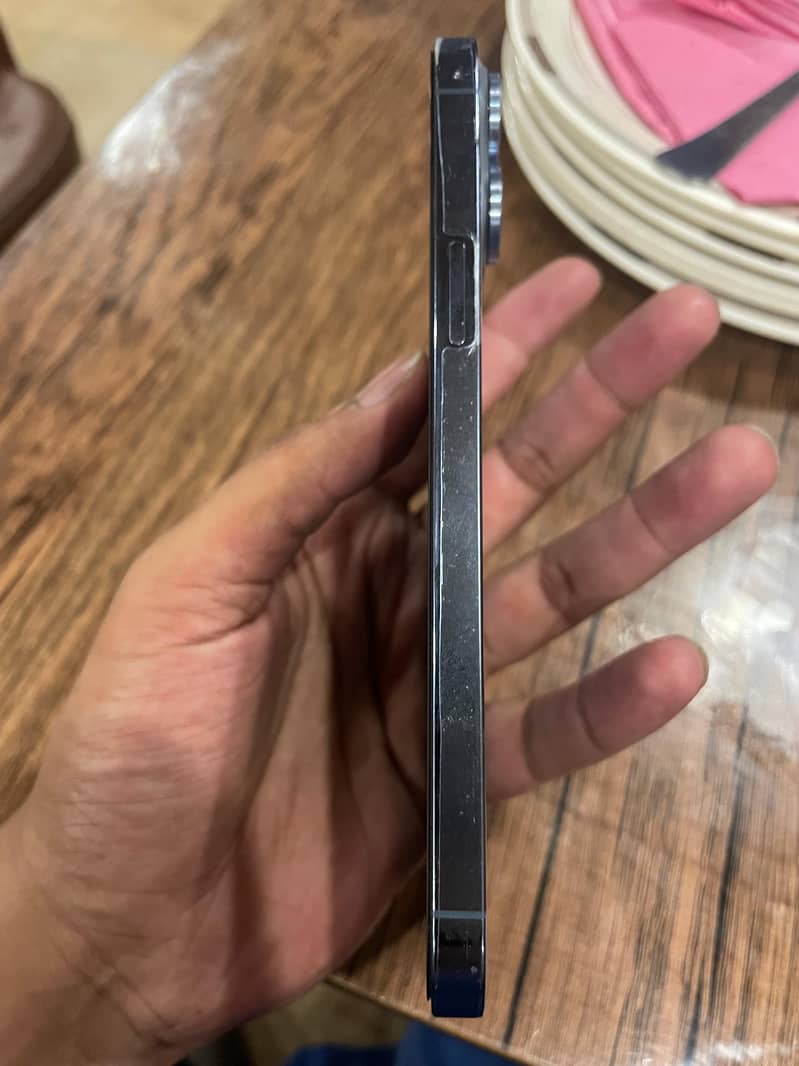 Apple iPhone 13 Pro Max 1