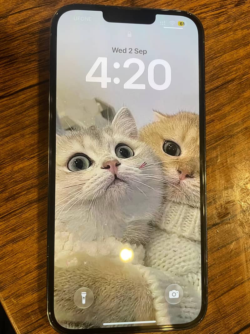 Apple iPhone 13 Pro Max 5