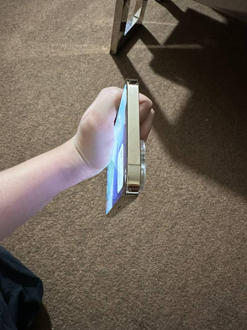 Apple iPhone 12 Pro Max 2