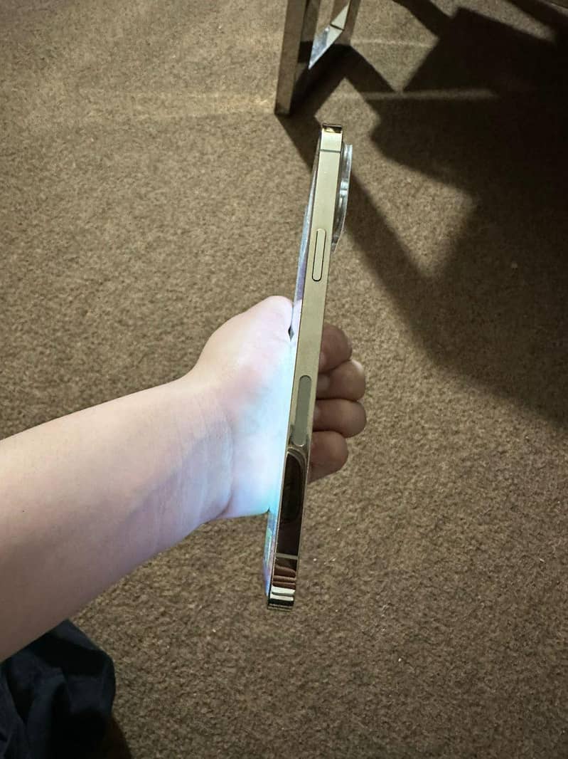 Apple iPhone 12 Pro Max 3