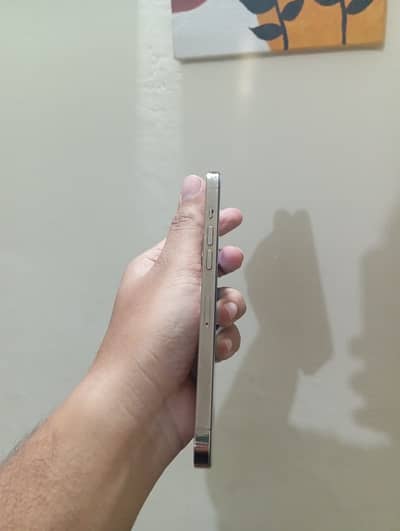 iPhone 12 Pro Max PTA