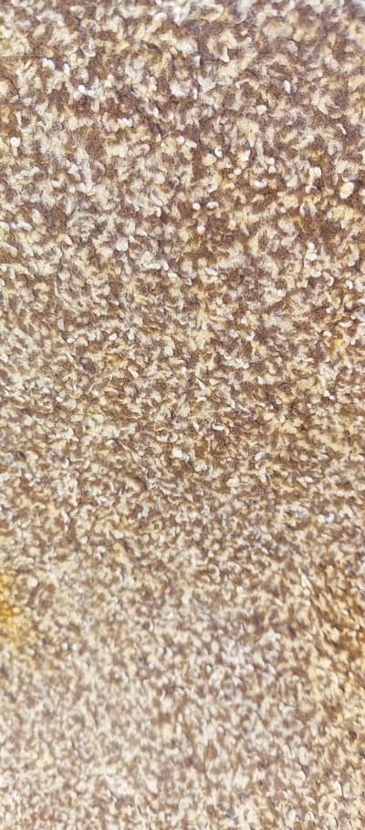 Carpet