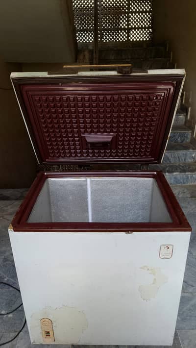 Candy Deep Freezer