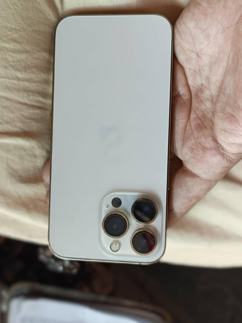 Apple iPhone 13 Pro 1