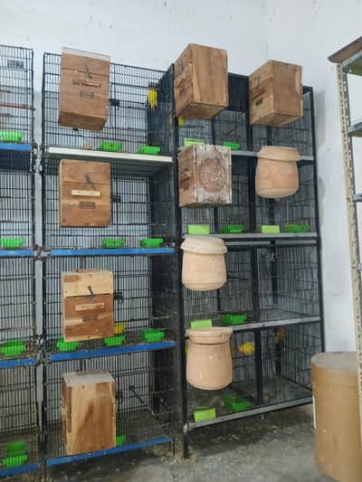 Cages For Sale. .