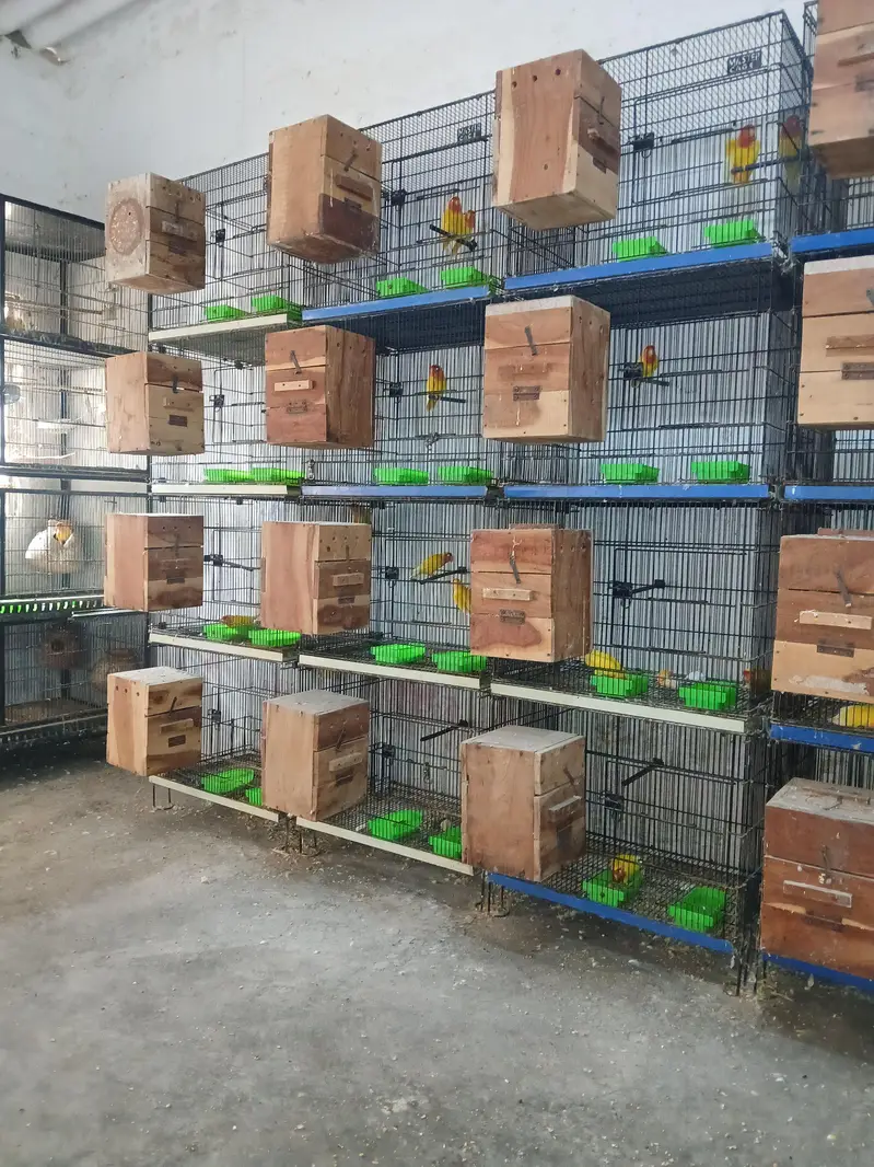 Cages For Sale. . — photo 2