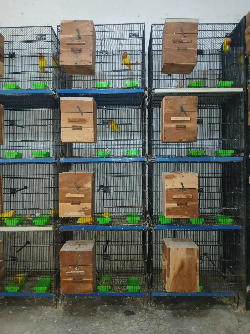 Cages For Sale. . — photo 3