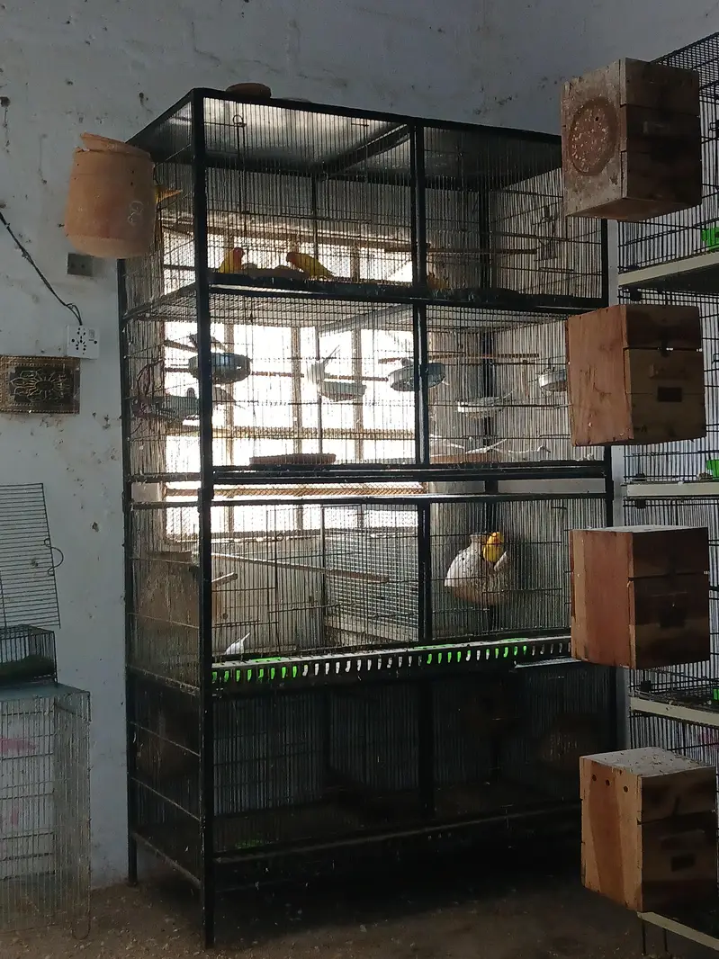 Cages For Sale. . — photo 4