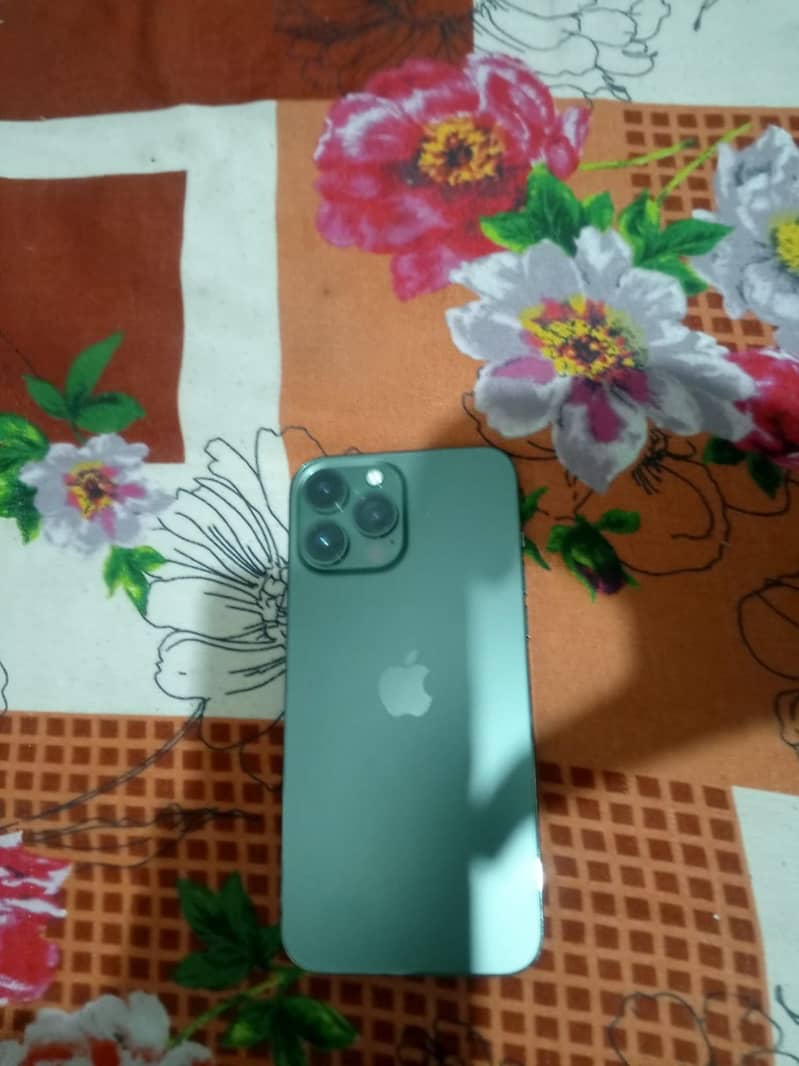 Apple iPhone 13 Pro Max 1