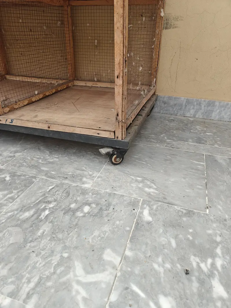 wooden cage 15 khana wala — photo 8