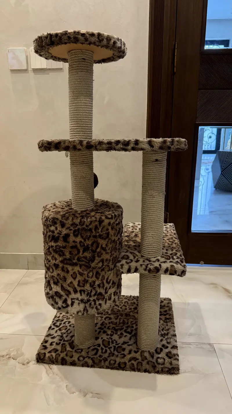 Cat House / Cat Tree for Sale — Rs. 6,000 — photo 3