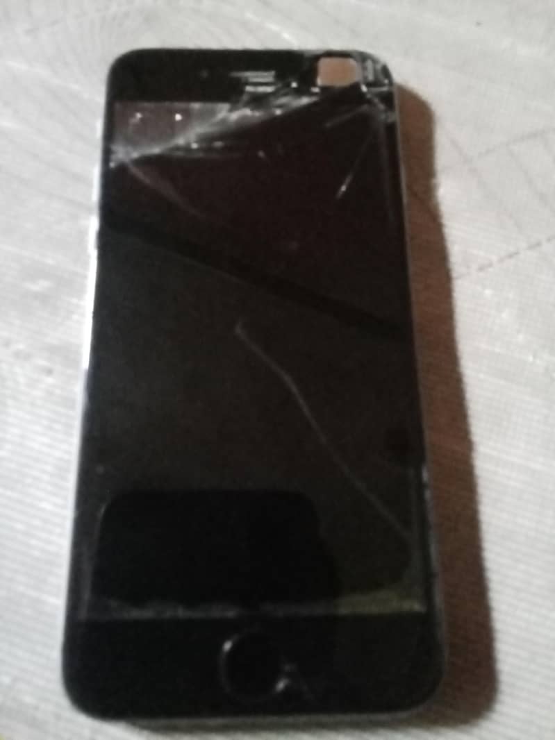Apinal damaged 1