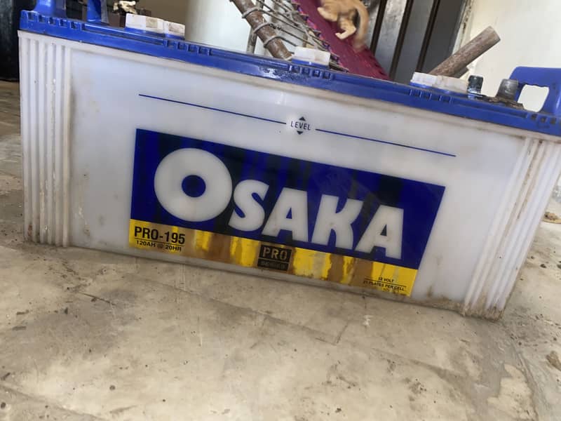 Osaka 3
