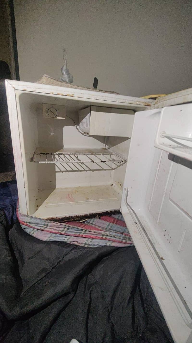 frige 2