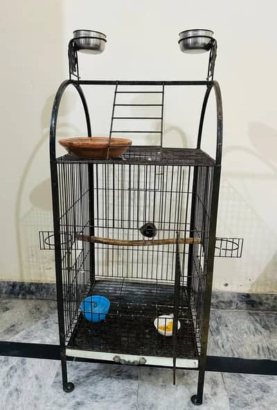 parrot cage