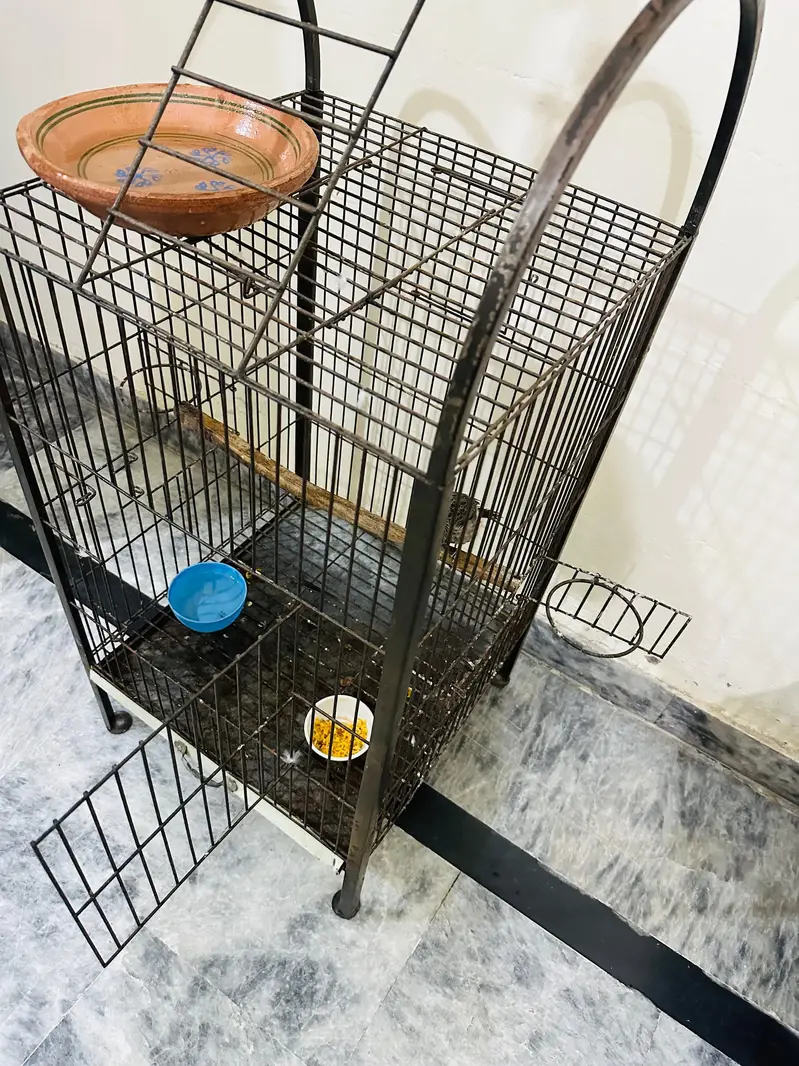 parrot cage — photo 2