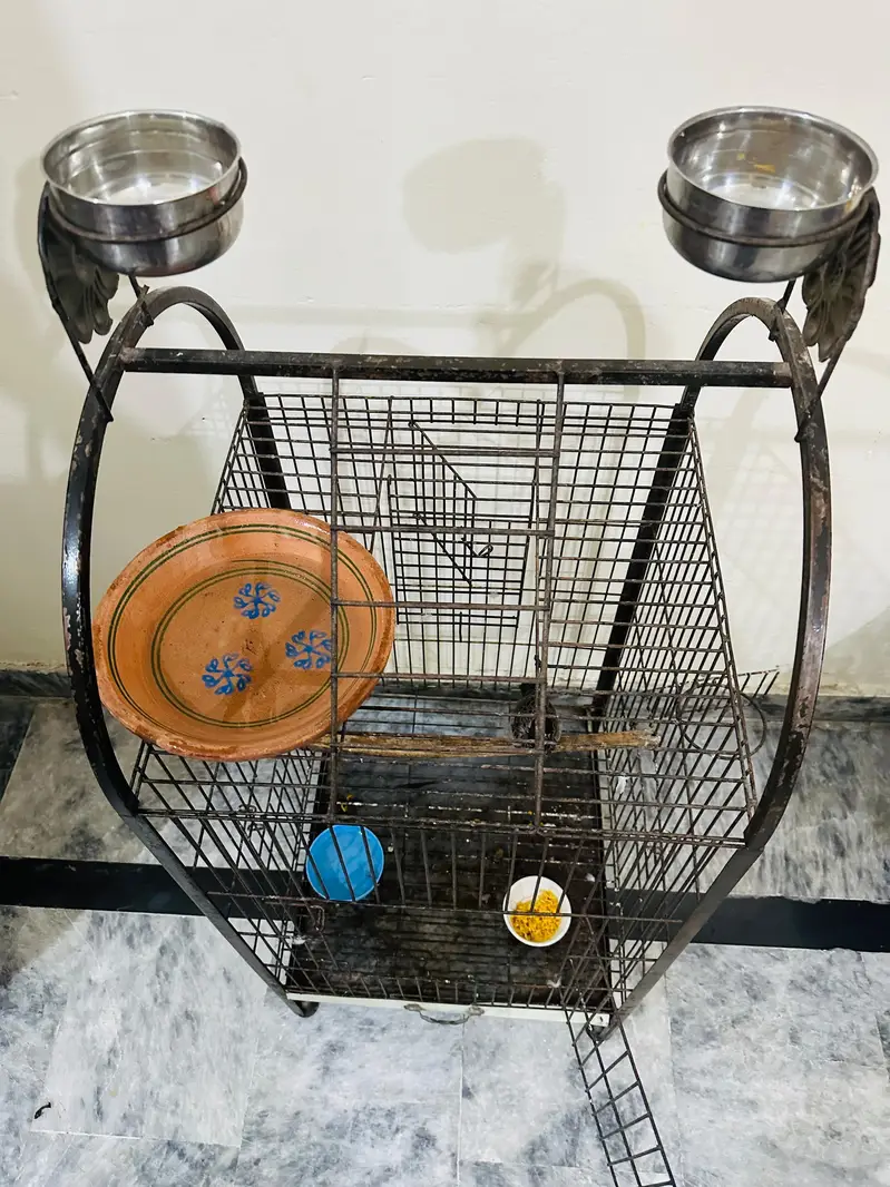 parrot cage — photo 4