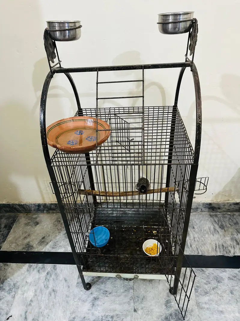 parrot cage — photo 5