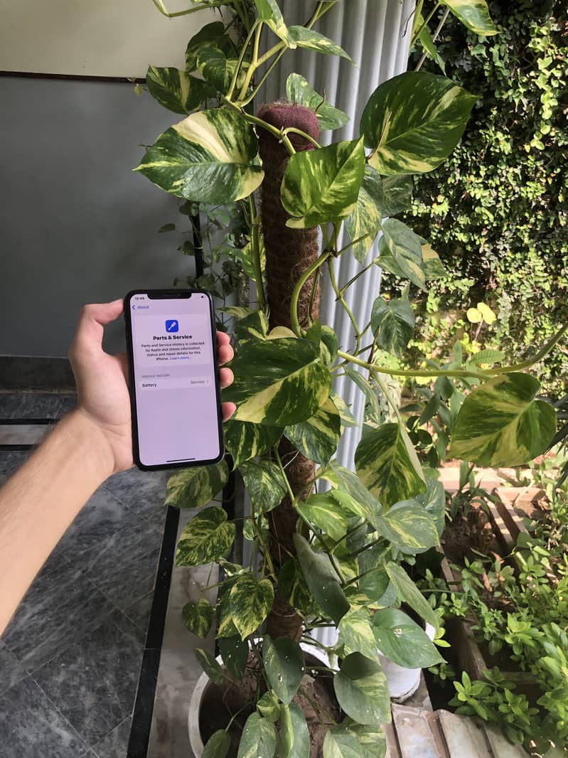 Apple iPhone XS 3
