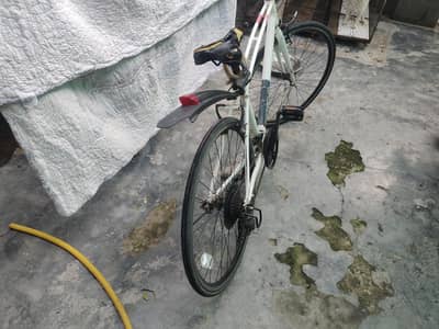 Rasing bicycle