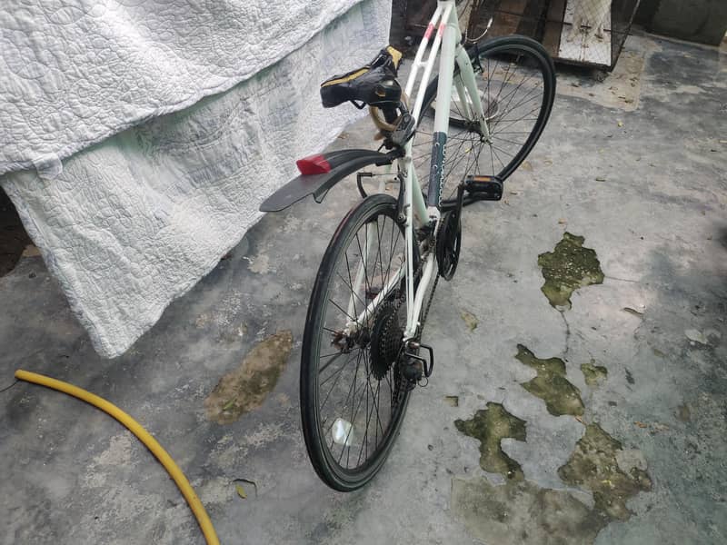 Rasing bicycle 0