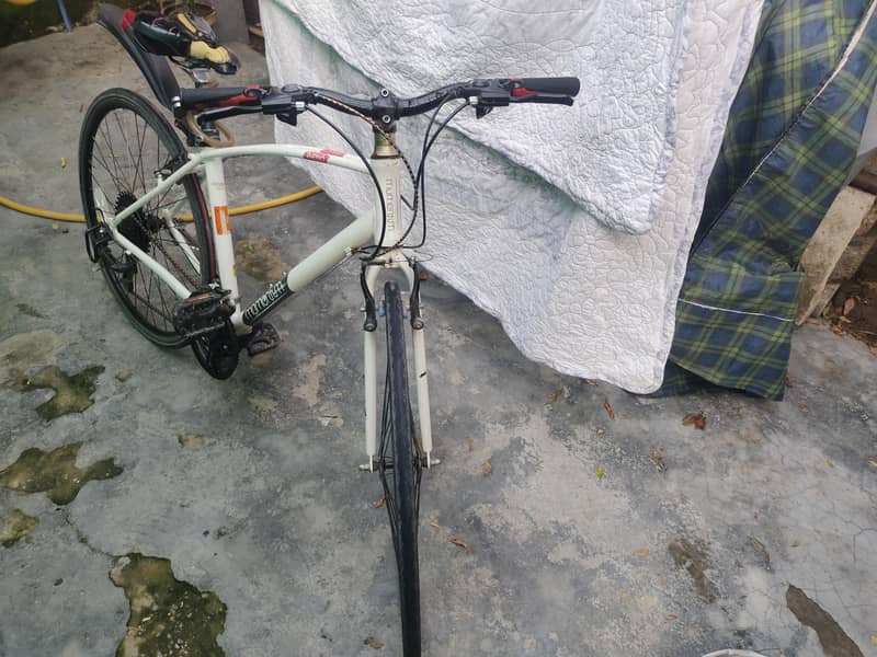 Rasing bicycle 1