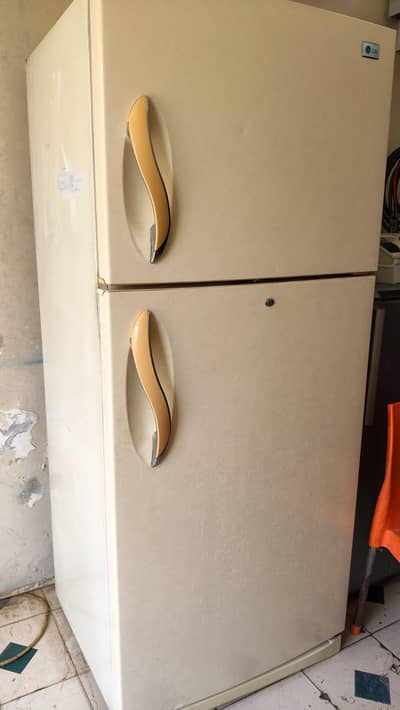 LG fridge no frost