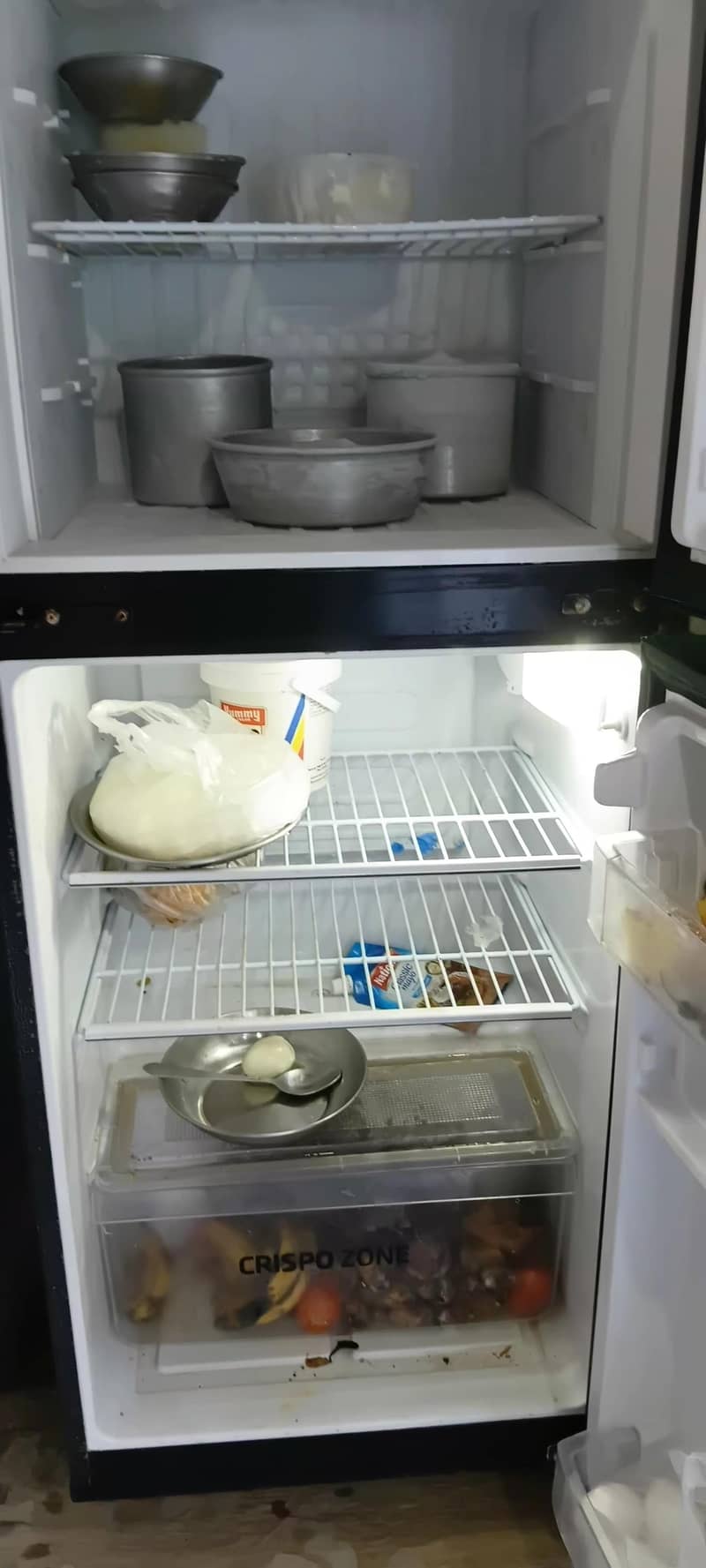 PEL fridge 6