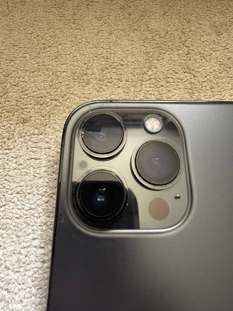 Apple iPhone 13 Pro Max 1
