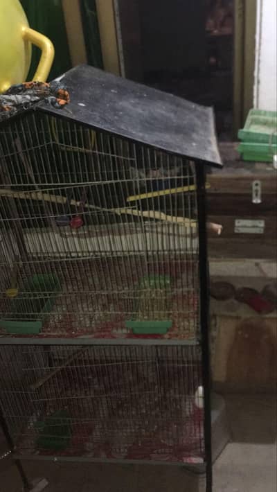 cage 2