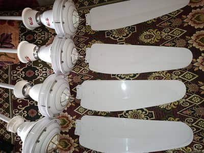 4 fans urjant sale 10by10 condition